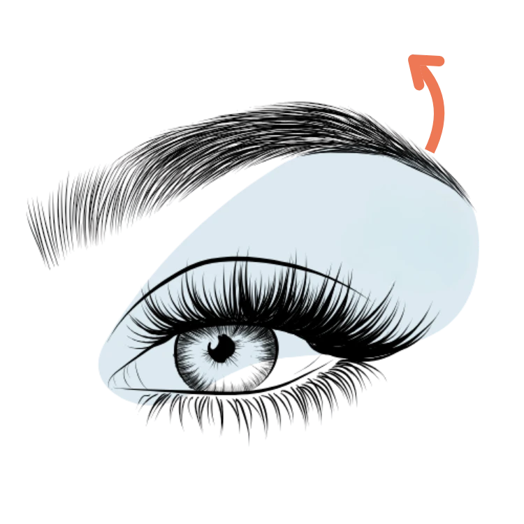 Spierontspanners 4 Wenkbrauwlift met spierontspanner